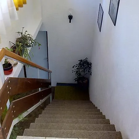 Apartman Artina Vrgada